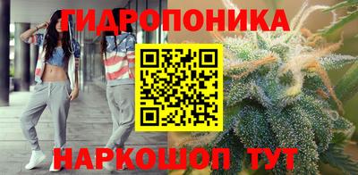 прущие грибы Партизанск