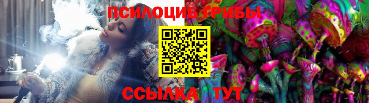 Псилоцибиновые грибы MAGIC MUSHROOMS  Галлюциногенные грибы мицелий  Сызрань  Вход с VPN 